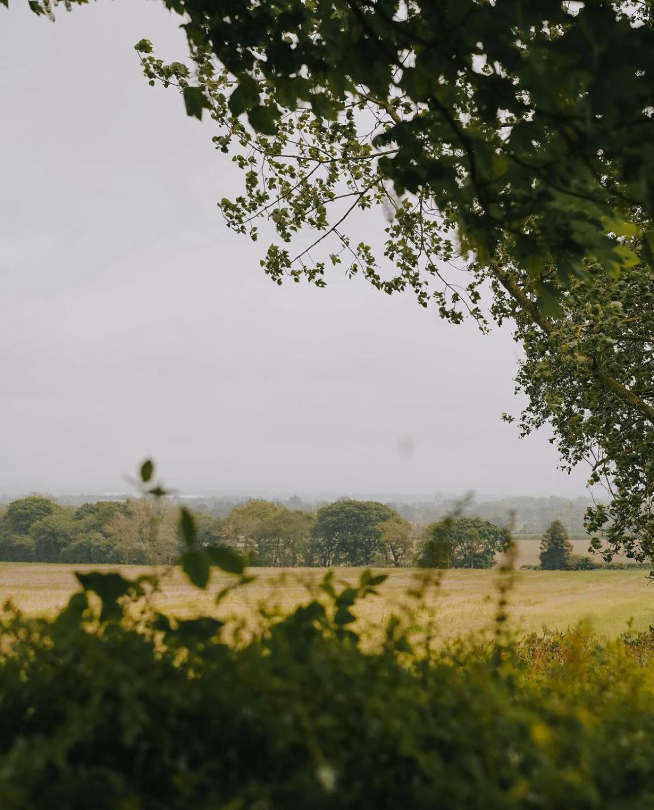 Wellsprings Farm - Self-catering Shepherds Hut With Private Garden Durham